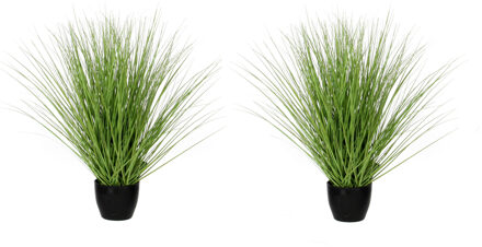 Mica Decorations Kunstgras - 2x stuks - grasplant - kunstplant - groen - in pot - H50 x D40 cm