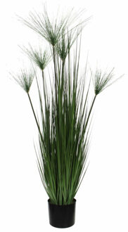 Mica Decorations Kunstgras/gras kunstplant met papyrus pluimen - groen H127 x D17 cm - op stevige plug