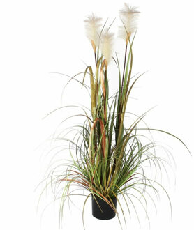 Mica Decorations Kunstgras/gras kunstplant met pluimen - groen/creme H120 x D45 cm - op stevige plug