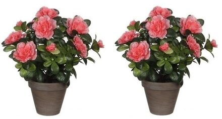 Mica Decorations Kunstplant - 2x - Azalea - groen/perzik kleurig - 27 cm - Met mooie bloemen