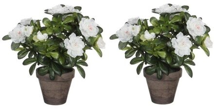 Mica Decorations Kunstplant - 2x - Azalea - groen/wit - 27 cm - Met mooie bloemen