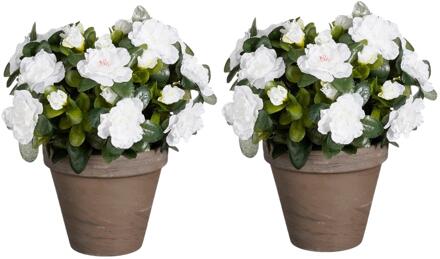Mica Decorations Kunstplant - 2x - Azalea - Wit - in pot - 31 cm