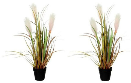 Mica Decorations Kunstplant - 2x - pluimgras - siergras - in pot - 53 cm