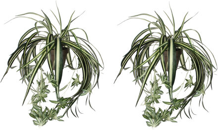 Mica Decorations Kunstplant - 2x stuks - graslelie - groen - in pot - 45 cm - hangplanten