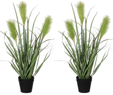 Mica Decorations Kunstplant - 2x stuks - siergras - groen - in pot - H53 x D30 cm