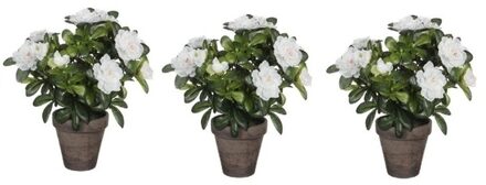 Mica Decorations Kunstplant - 3x - Azalea - groen/wit - 27 cm - Met mooie bloemen