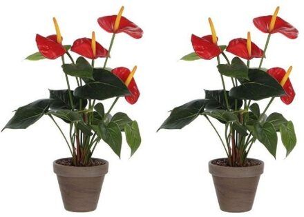 Mica Decorations Kunstplant Anthurium - 2x - rood - 40 cm - grijze pot - nepplant - kamerplant