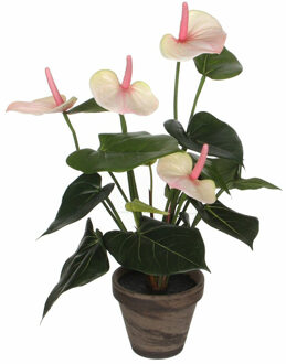 Mica Decorations Kunstplant Anthurium - lichtroze - 40 cm - in grijze pot - nepplant - kamerplant