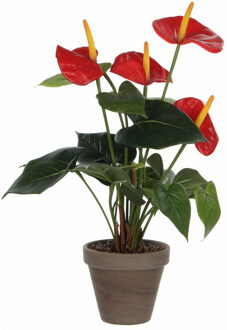 Mica Decorations Kunstplant Anthurium - rood - 40 cm - grijze pot - nepplant - kamerplant
