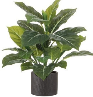 Mica Decorations Kunstplant Aroskelk - groen - H49 cm - in keramiek bloempot - antraciet - D15 cm