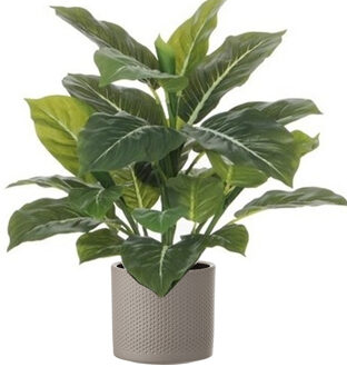 Mica Decorations Kunstplant Aroskelk - groen - H49 cm - in keramiek bloempot - taupe - D15 x H13 cm
