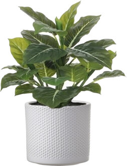 Mica Decorations Kunstplant Aroskelk - groen - H49 cm - in keramiek bloempot - wit - D15 x H13 cm