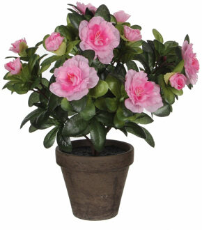Mica Decorations Kunstplant - Azalea - groen/lichtroze - 27 cm - Met mooie bloemen