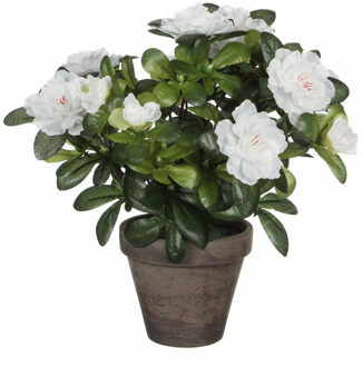 Mica Decorations Kunstplant - Azalea - groen/wit - 27 cm - Met mooie bloemen
