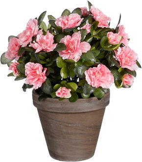 Mica Decorations Kunstplant - Azalea - Perzik - in pot - 31 cm