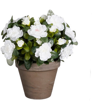 Mica Decorations Kunstplant - Azalea - Wit - in pot - 31 cm
