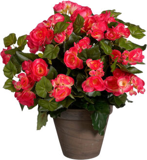 Mica Decorations Kunstplant - begonia -?donker roze - in pot - 37 cm