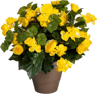 Mica Decorations Kunstplant - begonia - geel - in pot - 37 cm