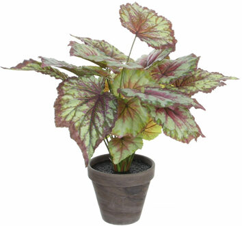 Mica Decorations Kunstplant - begonia - rood - in pot - 38 x 40 cm - kunstplanten