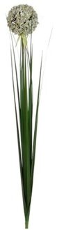 Mica Decorations Kunstplant bloem - Allium/Sierui - kunstbloem/tak - 80 cm - wit