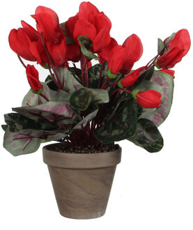 Mica Decorations Kunstplant - cyclaam - rood - in pot - 30 cm