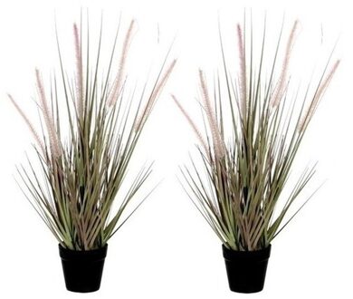 Mica Decorations Kunstplant Dogtail siergras - 2x - 54 cm - in zwarte pot