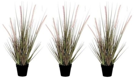 Mica Decorations Kunstplant Dogtail siergras - 3x - 54 cm - in zwarte pot