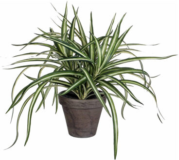 Mica Decorations Kunstplant - Dracaena - groen - in pot - 34 cm - Kunstplanten