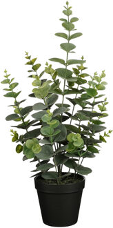 Mica Decorations Kunstplant Eucalyptus - H53 cm - groen - kunststof - bladgroen - in pot - 23 cm breed