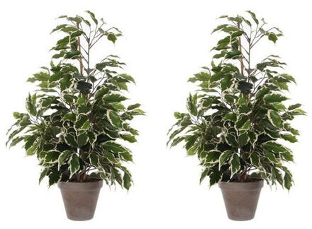 Mica Decorations Kunstplant Ficus - 2x - groen/wit - 65 cm - binnen - kunstplanten/nepplanten/binnenplanten