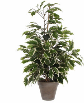 Mica Decorations Kunstplant Ficus - groen/wit - 65 cm - binnen - kunstplanten