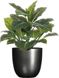 Mica Decorations Kunstplant groen - 49 cm - in bloempot - antraciet