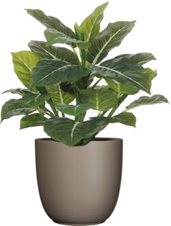 Mica Decorations Kunstplant groen - 49 cm - in bloempot - beige