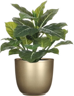Mica Decorations Kunstplant groen - 49 cm - in bloempot - goud