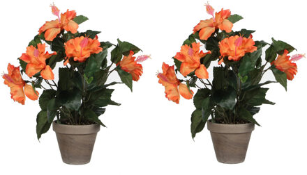 Mica Decorations Kunstplant Hibiscus - 2x stuks - oranje - H40 x D30 cm - grijze pot - nepplant