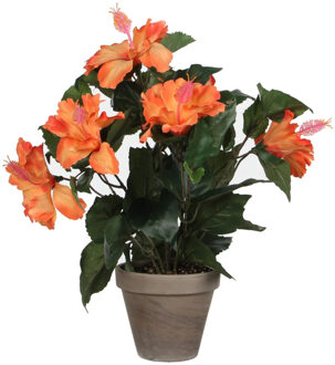 Mica Decorations Kunstplant Hibiscus - oranje - H40 x D30 cm - grijze pot - nepplant