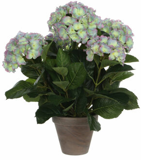 Mica Decorations Kunstplant Hortensia - groen/paars - 45 cm - in pot