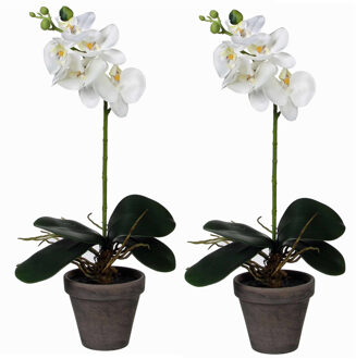 Mica Decorations Kunstplant Phalaenopsis Orchidee - 2x stuks - wit - grijze pot - H38 x D13 cm - kamerplant