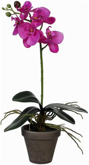 Mica Decorations Kunstplant - Phalaenopsis orchidee - paars - 48 cm