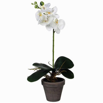 Mica Decorations Kunstplant Phalaenopsis Orchidee - wit - grijze pot - H38 x D13 cm - kamerplant
