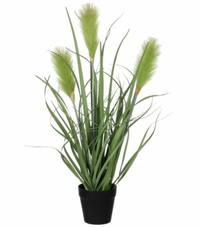 Mica Decorations Kunstplant - siergras - groen - in pot - 53 cm