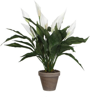 Mica Decorations Kunstplant - spathiphyllum lepelplant - wit - 50 cm