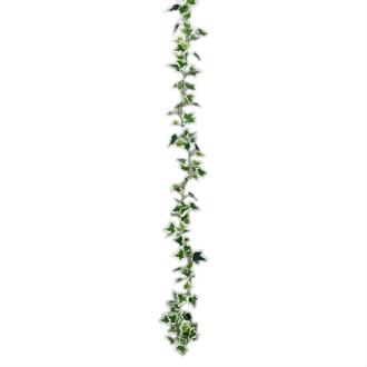 Mica Decorations Kunstplanten Hedera Slinger - 179 x 11 cm - groen/wit - kunststof - decoratie - bladgroen