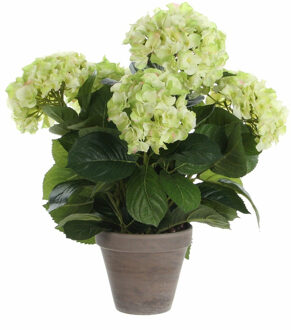 Mica Decorations Lichtgroene Hydrangea/hortensia kunstplant 45 cm in grijze pot
