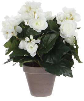 Mica Decorations Mica Decoration Kunstplant - begonia - wit - in pot - 30 cm - nepplanten