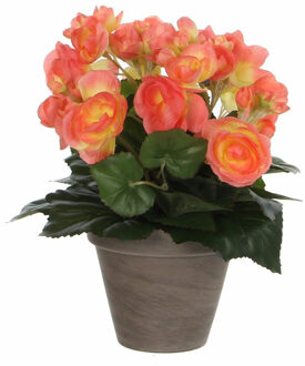 Mica Decorations Mica Decoration Kunstplant - begonia - zalmroze - in pot - 25 cm - nepplanten
