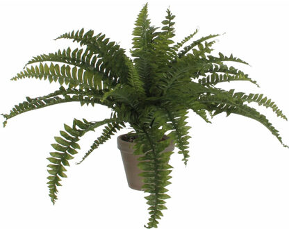 Mica Decorations Mica Decoration Varen kunstplant - groen - 45x70 cm - Kamerplant
