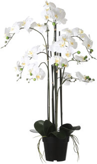 Mica Decorations Orchidee bloem kunstplant - parel wit - H97 x B19 cm