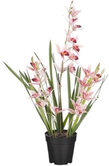 Mica Decorations Orchidee bloem kunstplant - perzik roze - H66 x B34 c