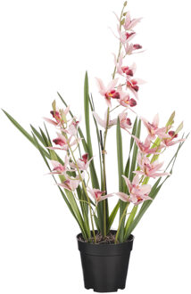 Mica Decorations Orchidee bloem kunstplant - perzik roze - H66 x B34 cm